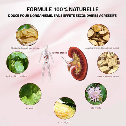 🌿 Nettoyant Naturel pour Reins: Retrouve ton énergie dès aujourd’hui !