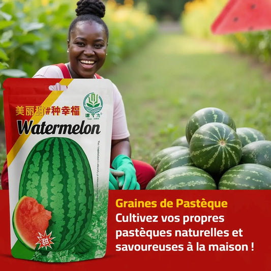 Graines de Pastèque naturelles et savoureuses à la maison !