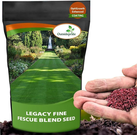 Graines d’herbe hybrides – Pour un jardin vert, paisible et nourrissant chez vous